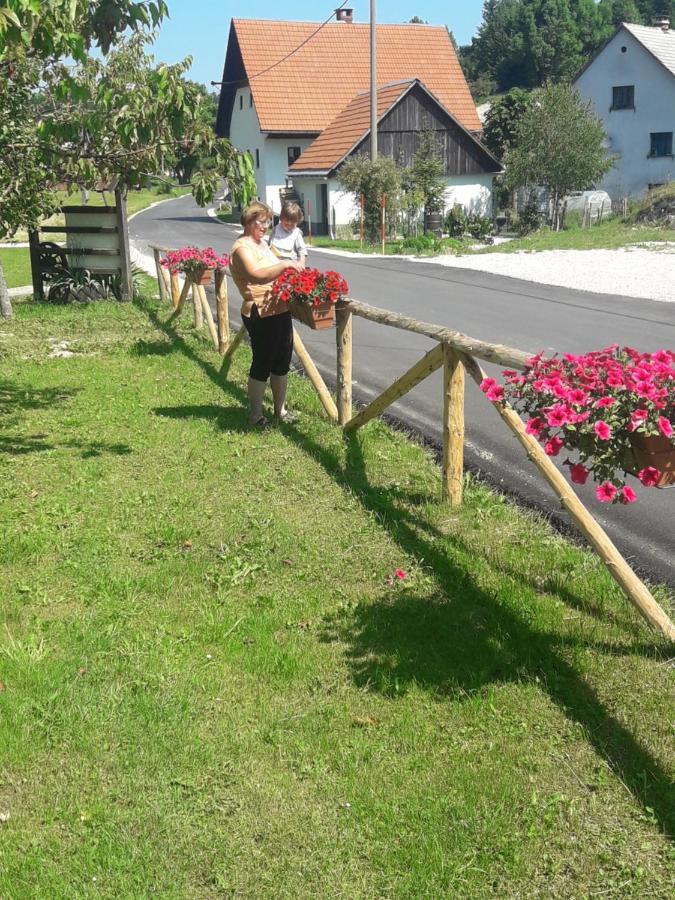 Turisticna Kmetija Pr Mark Trebce Luaran gambar