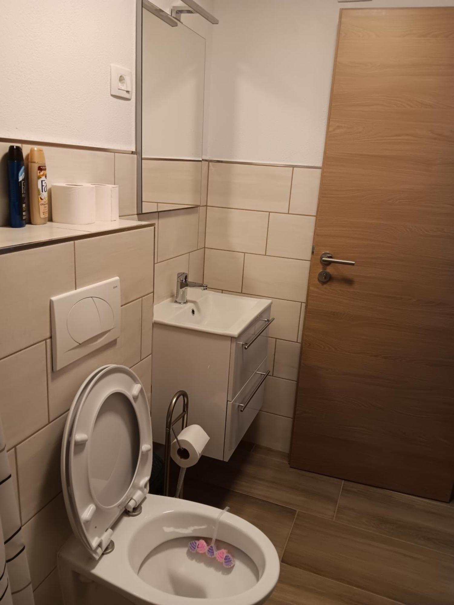 Turisticna Kmetija Pr Mark Trebce Luaran gambar